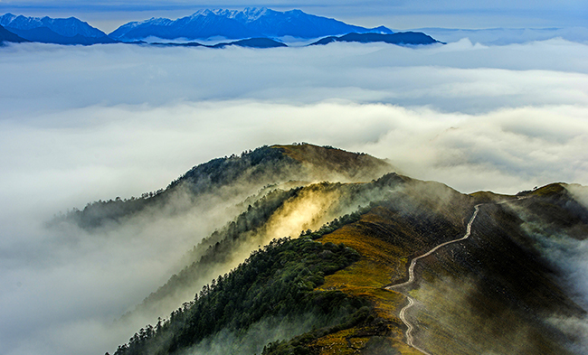 й88858cc(ɷ)޹˾-ٷվ