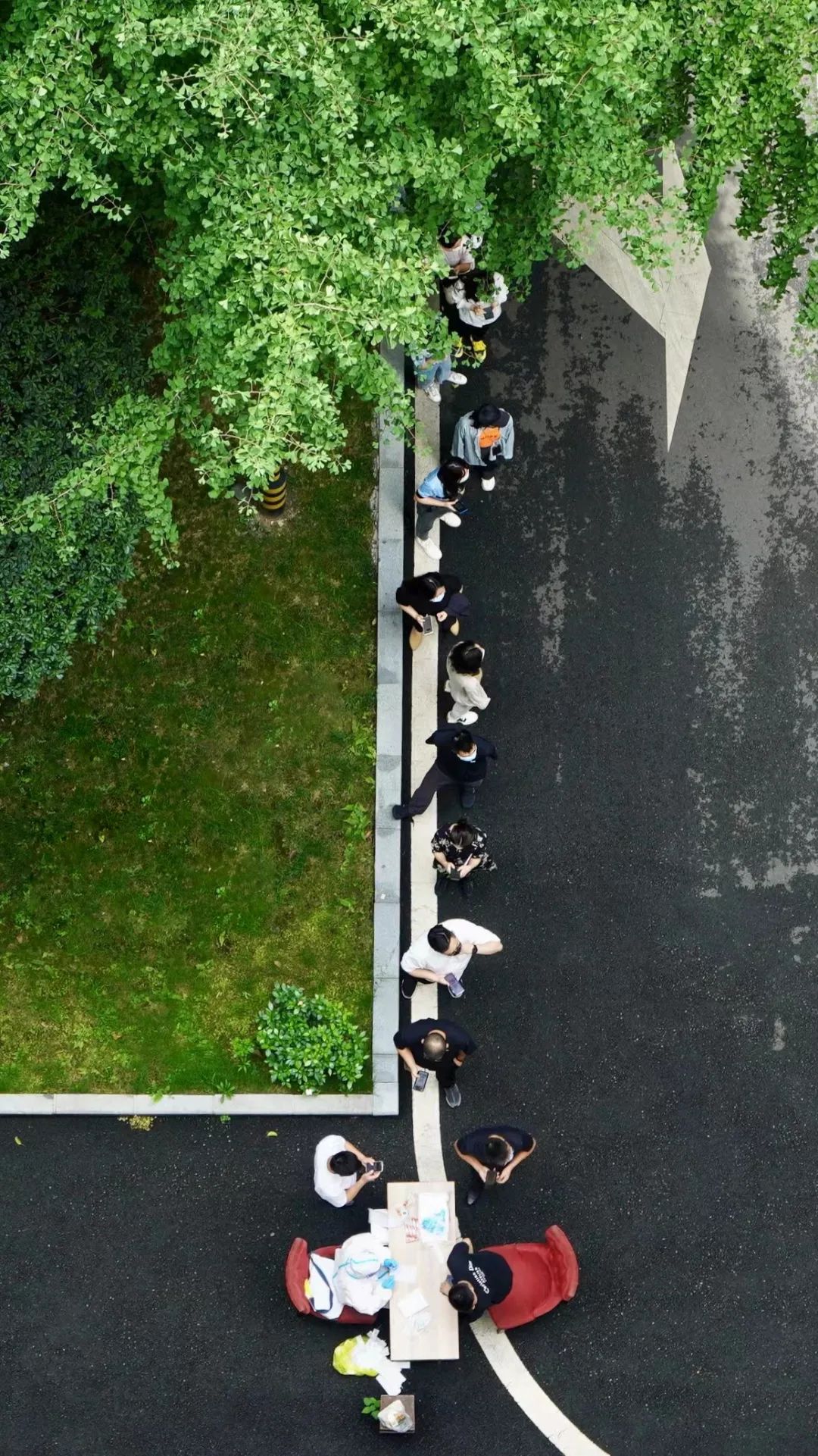 벢徲 88858ccȫչ¹