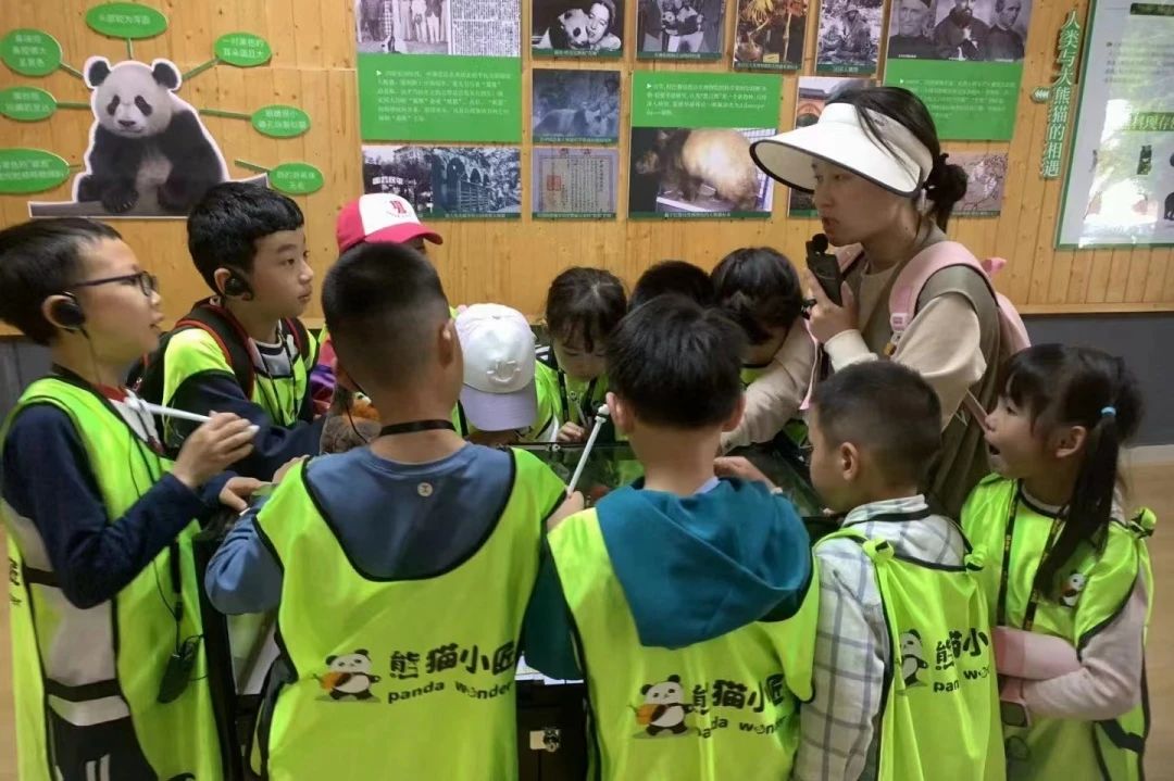 78cd6f3f-0f66-4d2b-91bc-51f9a5c91dbf 78cd6f3f-0f66-4d2b-91bc-51f9a5c91dbf