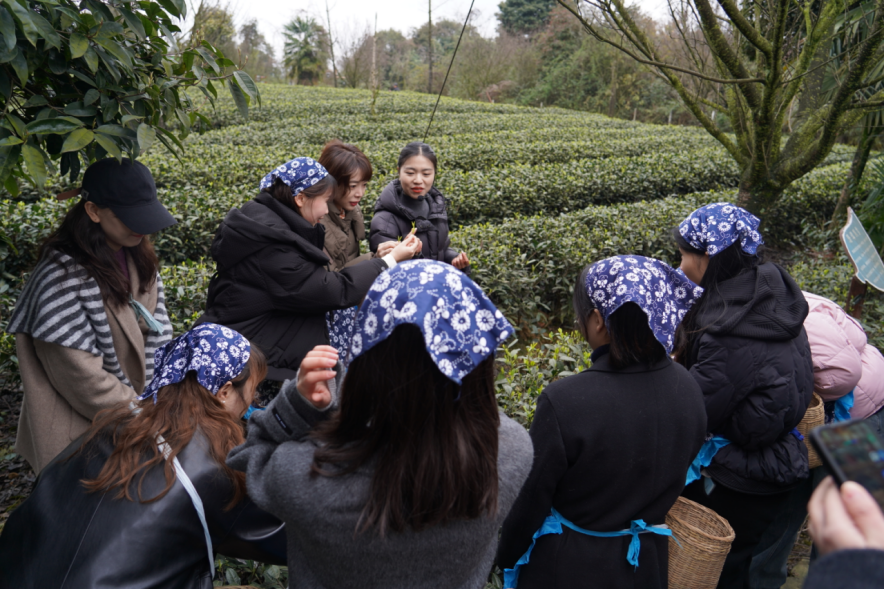 245287ab-32e1-4639-85e9-3e445a343fe7